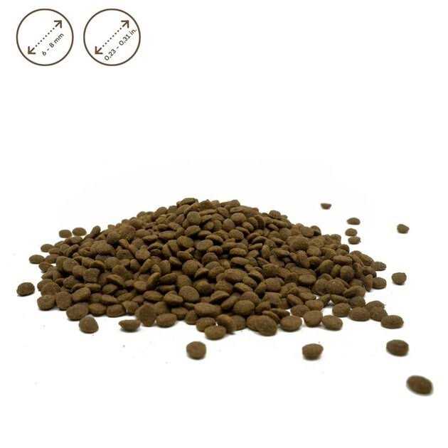 Grain Free White Small Breed Adult Dry Dog Food X438851