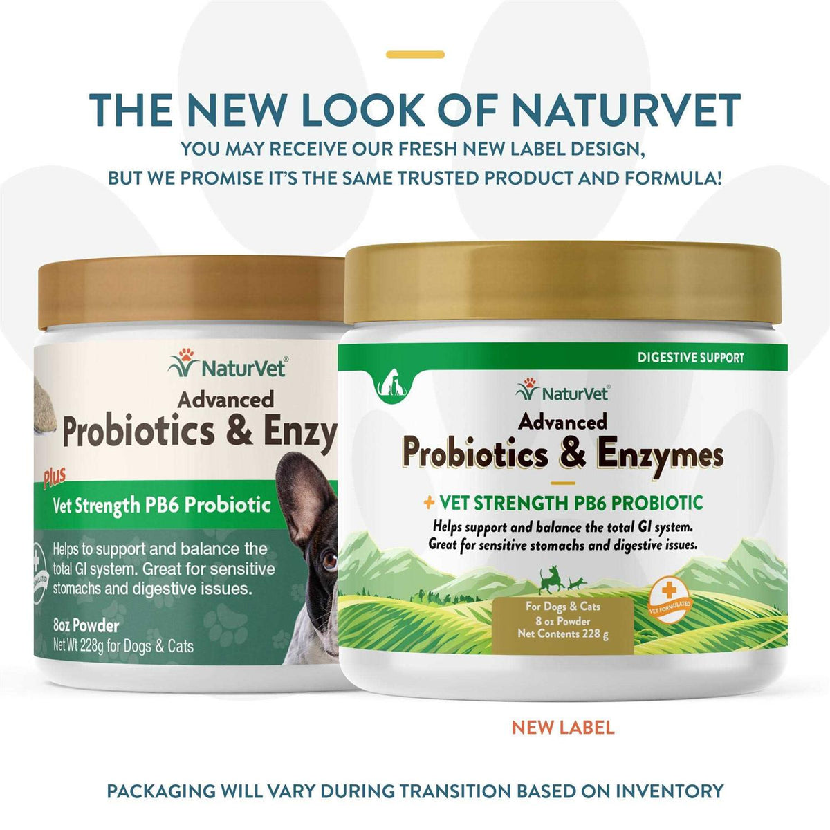 Probiotics Enzymes L392