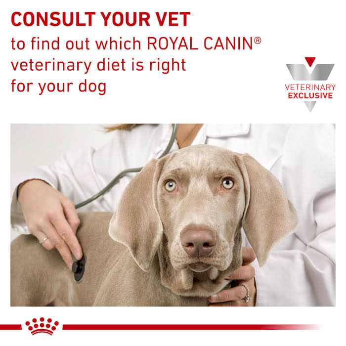 Veterinary Diet Dry Dog Food U590094