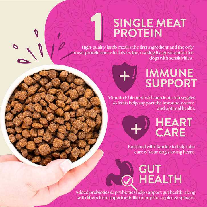 Grain Free Dry Dog Food T90283