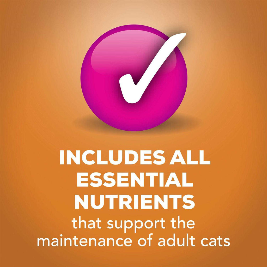 Wet Cat Food Gravy O376