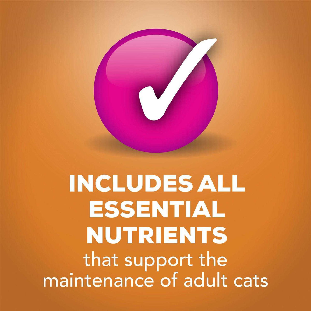 Wet Cat Food Gravy O376