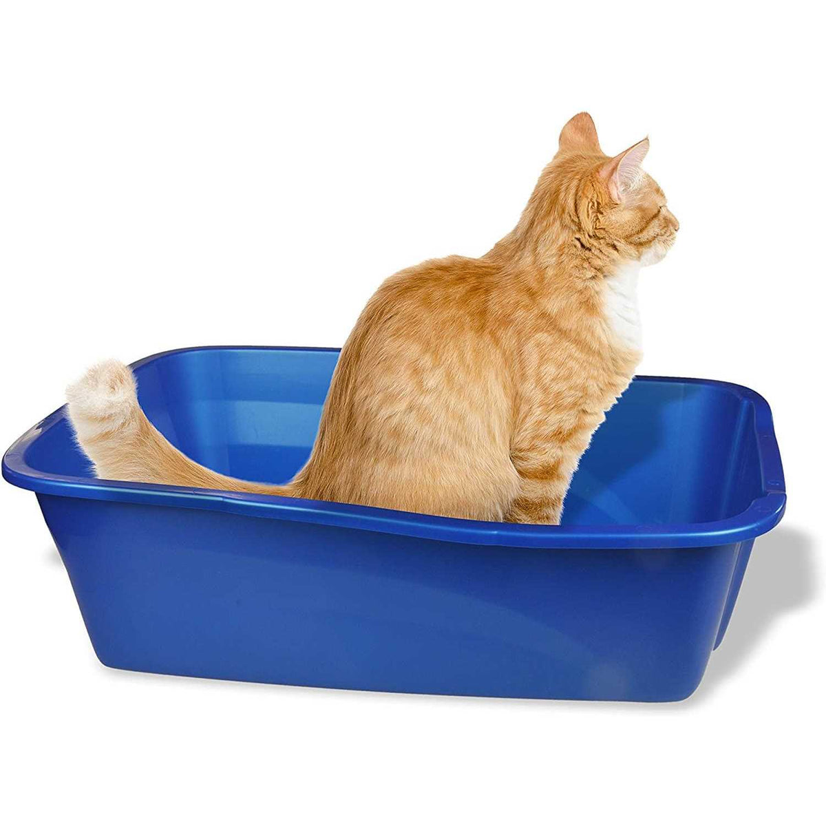 Small Cat Litter Pan J385342
