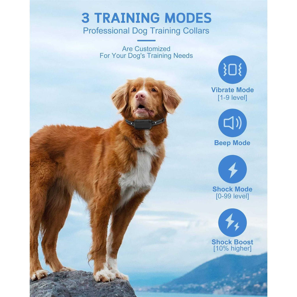 Dog Training Collar with Remote J497229