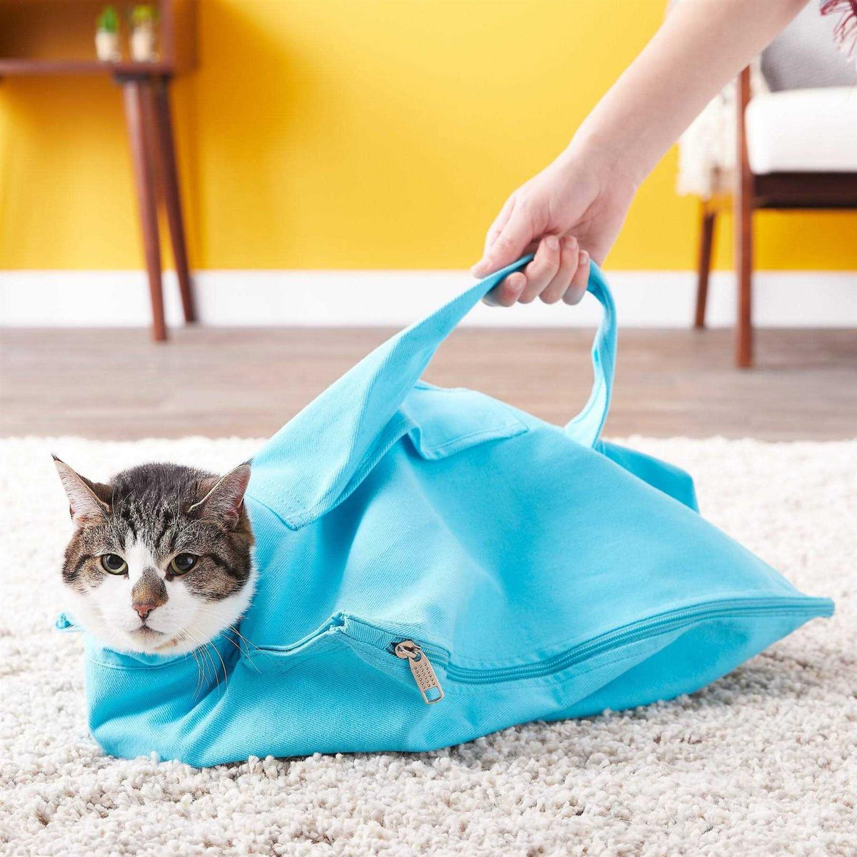 Cozy Comfort Carrier D2556