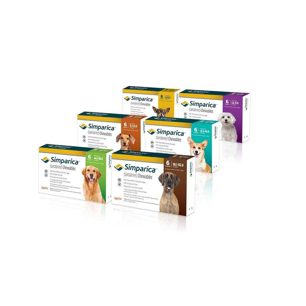 Chewable Tablet for Dogs X463690