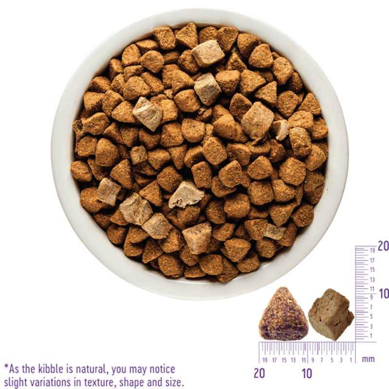 Grain Free Dry Dog Food R26637