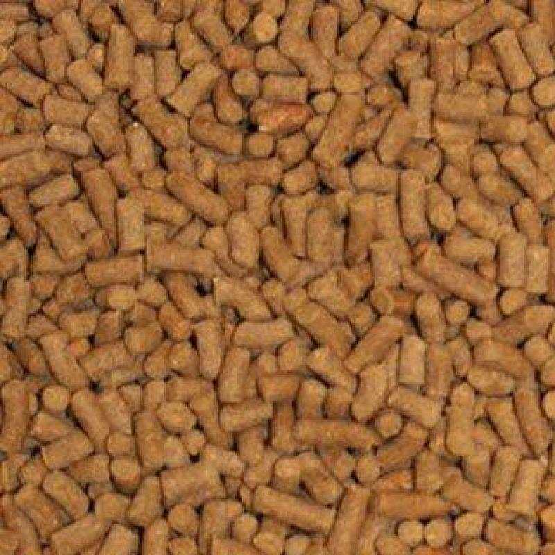 Shrimp Pellets Fish Food Y2292