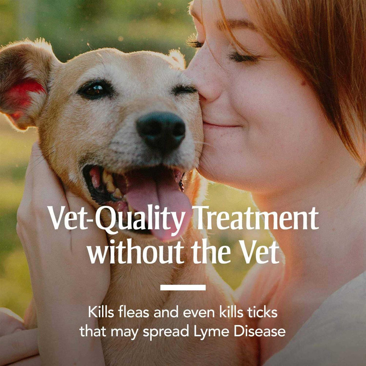 Oatmeal Shampoo for Dogs H997357